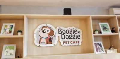 top 6+ rekomendasi dog cafe di jakarta yang anabul friendly