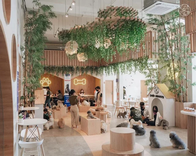 Top 6+ Rekomendasi Dog Cafe di Jakarta yang Anabul Friendly