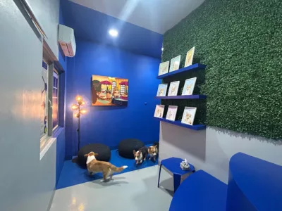 top 6+ rekomendasi dog cafe di jakarta yang anabul friendly