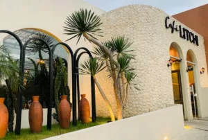 top 7+ cafe baru di malang yang estetik untuk nongkrong cantik