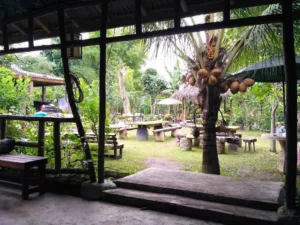 top 7+ cafe di genteng banyuwangi yang hits, ada suasana pantai