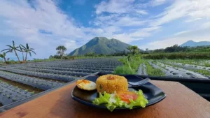 top 7+ cafe di magelang dengan view gunung yang indah