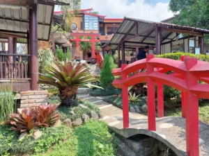 top 7+ cafe di prigen dengan pemandangan cantik, asik buat kumpul