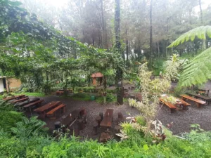 top 7+ cafe di prigen dengan pemandangan cantik, asik buat kumpul