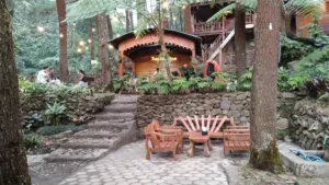 top 7+ cafe di prigen dengan pemandangan cantik, asik buat kumpul