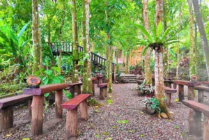 top 7+ cafe di trawas yang lagi hits, cocok buat healing