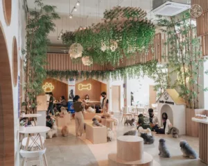 top 7+ pet friendly cafe di jakarta untuk jalan-jalan bareng anabul
