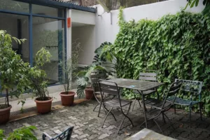 top 7+ pet friendly cafe di jakarta untuk jalan-jalan bareng anabul