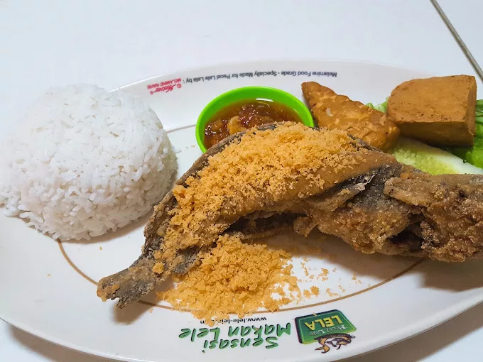 Top 7+ Rekomendasi Pecel Lele Jakarta Selatan yang Paling Nikmat