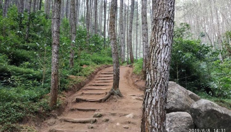 Top 7+ Tempat Wisata Garut Favorit 2021 yang Tak Boleh Terlewatkan!
