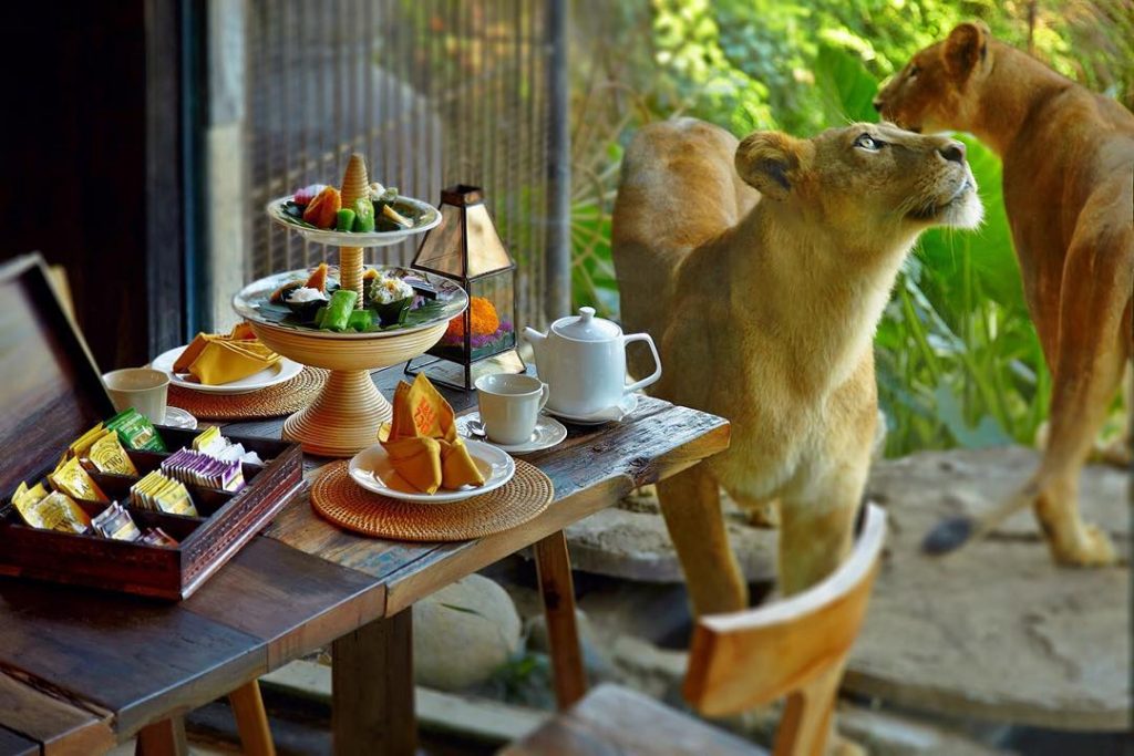 Top 7+ Tempat Wisata Kuliner Di Bali Yang Instagramable