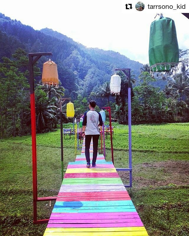 curug tempuran, jawa tengah, jembatan cinta pring wulung, kampung kurcaci, kutabawa flower garden, lampion tengah sawah, puncak sendaren, purbalingga, telaga situ tirta marta, top 7+ tempat wisata yang menarik di purbalingga jawa tengah