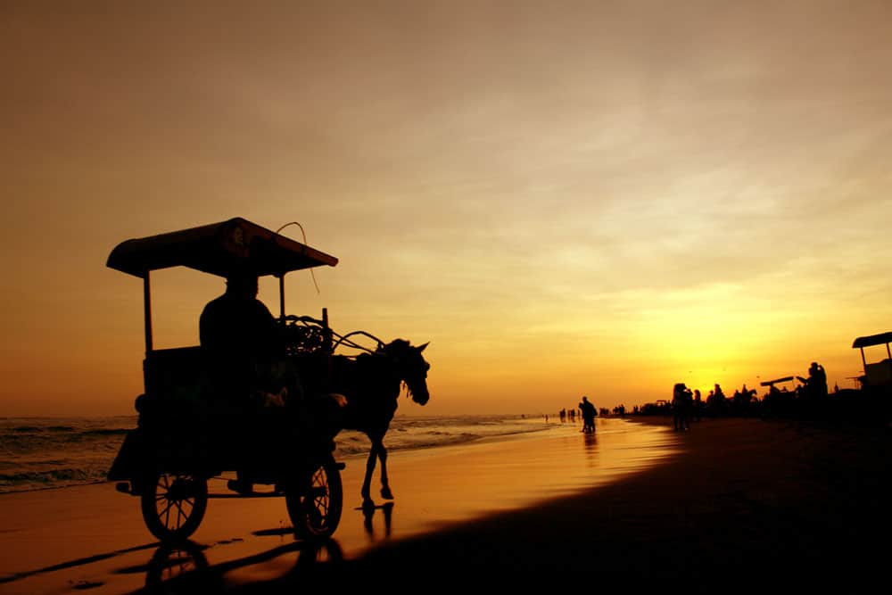 Pantai Parangtritis - Wisata Eksotis Jogja yang Wajib Dikunjungi