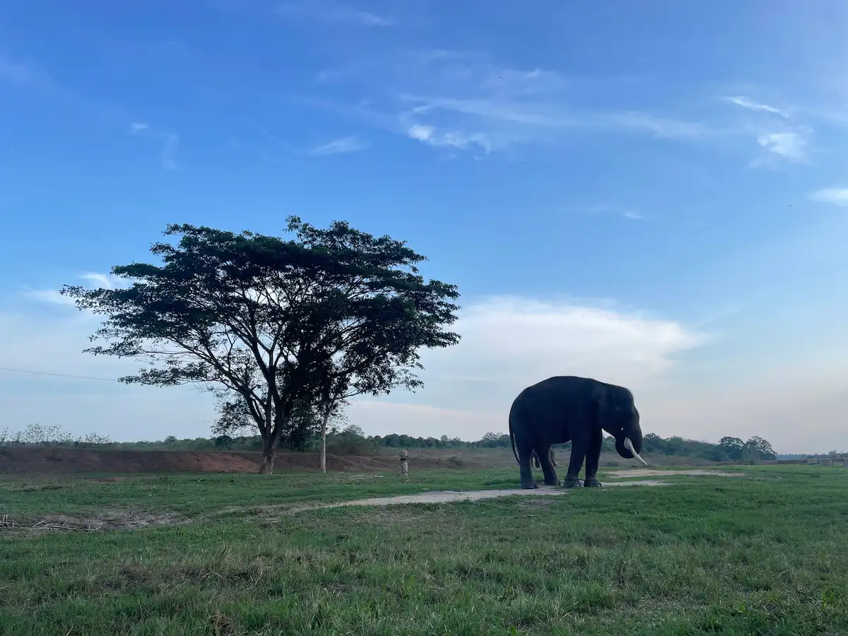 top 8+ pilihan tempat wisata anak di bandar lampung yang seru
