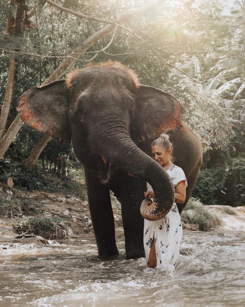 air terjun tegenungan, bali, bali bird & reptile park, bali safari & marine park, bali zoo, bukit jati waterboom, gianyar, goa gajah, pantai lebih gianyar, top 8+ tempat wisata terbaik di gianyar bali
