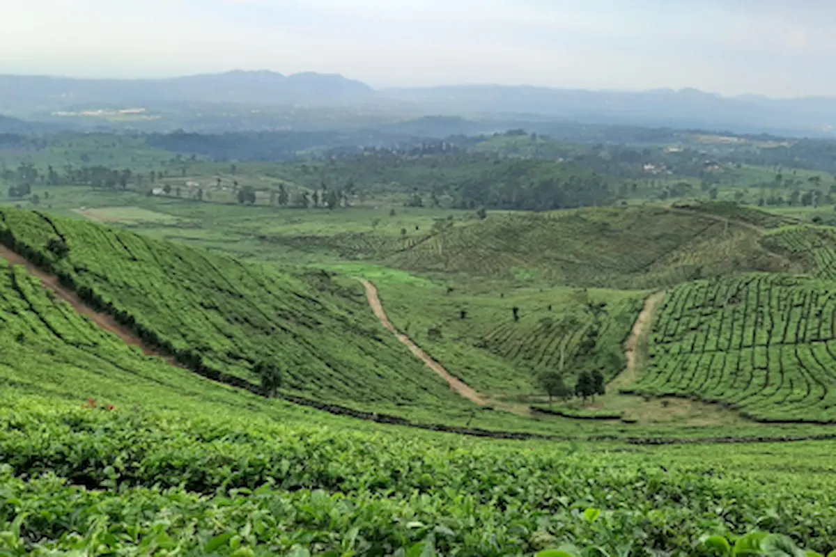 Top 9+ Pilihan Tempat Wisata di Subang yang Lagi Hits