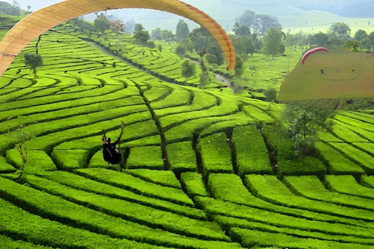 top 9+ pilihan tempat wisata di subang yang lagi hits