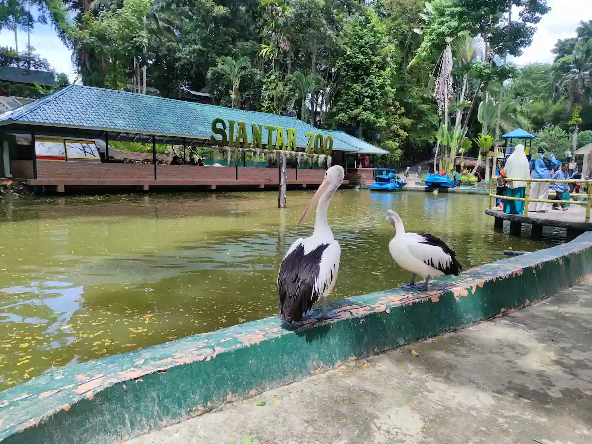 wajib dikunjungi! 7 pilihan tempat wisata di siantar yang populer