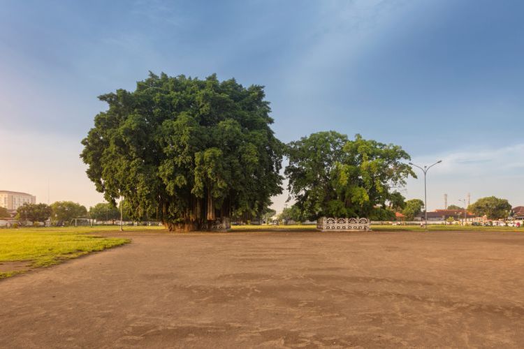 Penampakan pohon beringin kembar di Alun-alun Selatan atau Alun-alun Kidul Yogyakarta dan mitosnya., 1. Waterboom Jogja, 2. Ledok Sambi, 3. The Lost World Castle, 4. Keraton Yogyakarta, 5. Kids Fun, 6. Gembira Loka Zoo, 7. Taman Pintar, 8. Alun-alun Kidul Yogyakarta, 9. Pantai Parangtritis, 10. Pasar Beringharjo