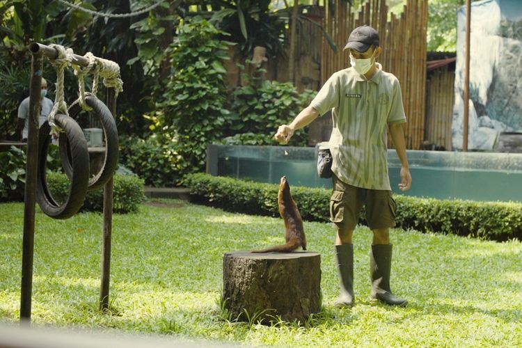 Salah satu kegiatan Presentasi dan Edukasi Satwa (PES) mamalia di Gembira Loka Zoo, 1. Waterboom Jogja, 2. Ledok Sambi, 3. The Lost World Castle, 4. Keraton Yogyakarta, 5. Kids Fun, 6. Gembira Loka Zoo, 7. Taman Pintar, 8. Alun-alun Kidul Yogyakarta, 9. Pantai Parangtritis, 10. Pasar Beringharjo