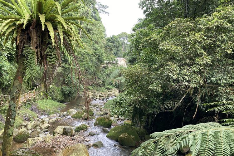 Pemandangan aliran sungai dari Curug Kondang di Kecamatan Pamijahan, Kabupaten Bogor, Selasa (25/5/2021). Pemandangan ini dapat dilihat dari jalur setapak yang menjuntai dari area parkir motor hingga ke titik air terjun., 1. Taman Wisata Alam Gunung Pancar, 2. Cibalung Happy Land, 3. Jungleland Adventure Theme Park, 4. Curug Kondang, 5. Kebun Durian Warso Farm