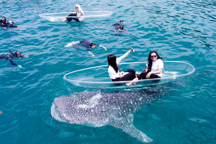 Wisatawan berfoto bersama hiu paus di Botubarani, Gorontalo, Sabtu (31/8/2024)., 1. Datang pada waktu terbaik , 2. Datang saat cuaca cerah , 3. Bawa baju ganti , 4. Datang saat hari kerja , 5. Sewa paket perahu kaca dan drone 