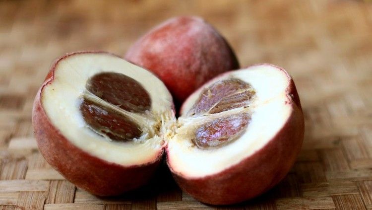 7 Buah Unik Asli Indonesia yang Wajib Kamu Cicipi, 1. Buah merah, 2. Buah matoa, 3. Buah bisbul, 4. Buah manau, 5. Buah keledang, 6. Buah manggis putih, 7. Buah lai