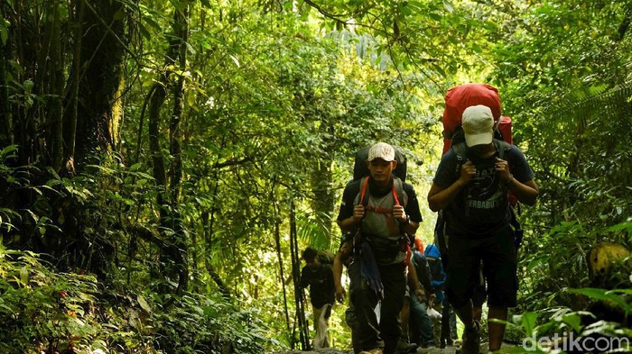 Cara Booking Pendakian Gunung Gede: Kuota dan Biayanya 2024