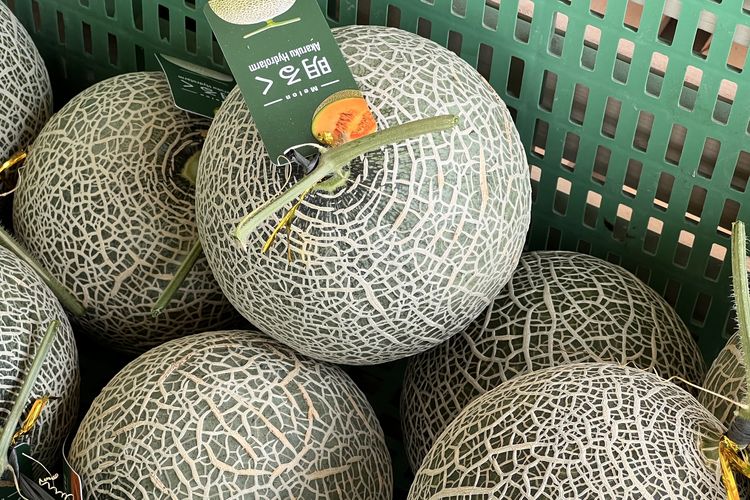 Sering Dilakukan, Ternyata 4 Kebiasaan Ini Bikin Sayur da Buah Cepat Busuk