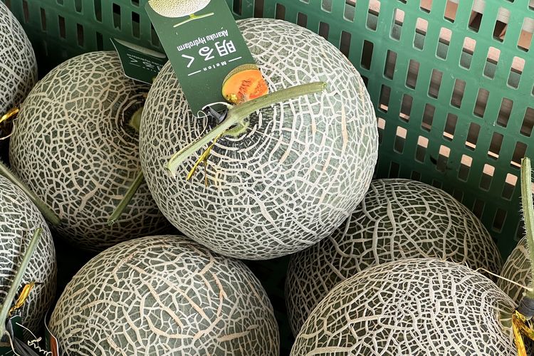 Sering Dilakukan, Ternyata 4 Kebiasaan Ini Bikin Sayur dan Buah Cepat Busuk