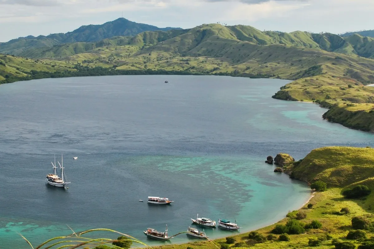 taman nasional komodo: destinasi eksotis yang wajib masuk bucket list liburanmu