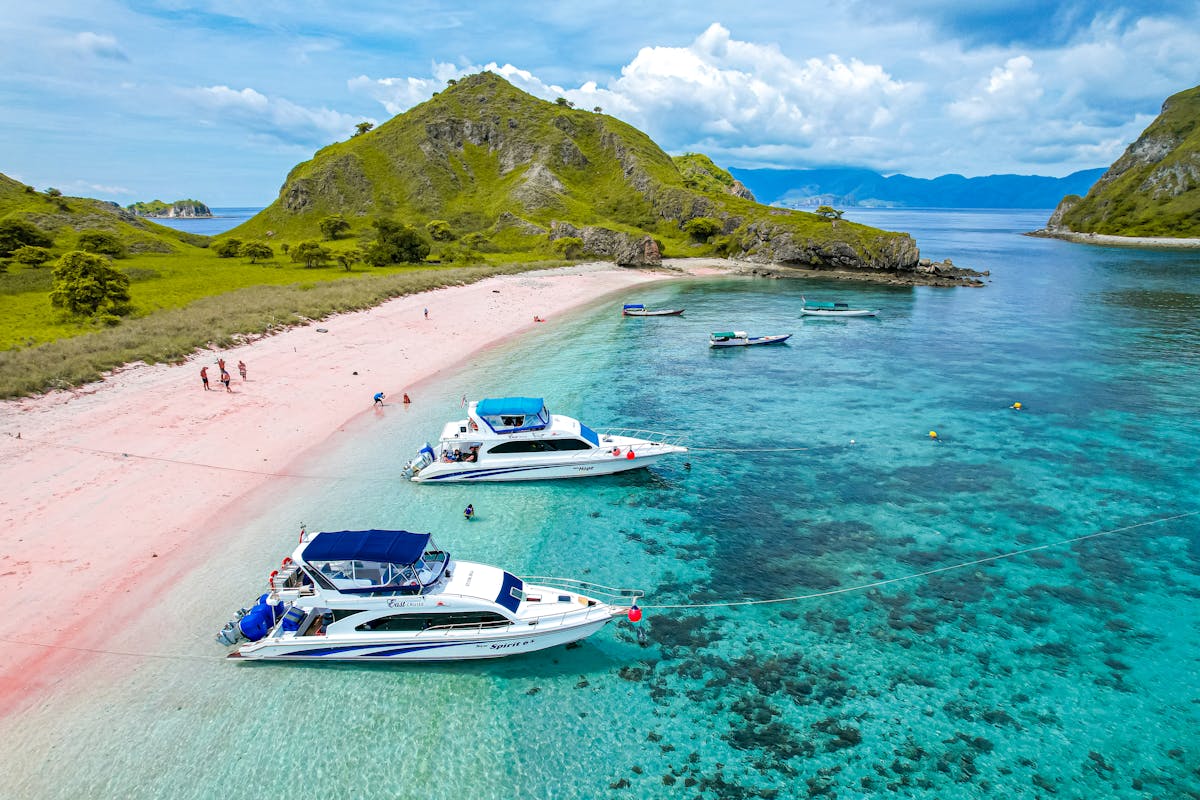taman nasional komodo: destinasi eksotis yang wajib masuk bucket list liburanmu