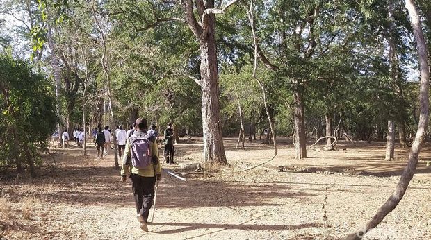 Taman Nasional Komodo: Surganya Aktivitas Outdoor di NTT