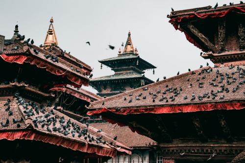 Top 6+ Fakta Menarik Nepal, Negeri Seribu Kuil di Kaki Pegunungan Himalaya