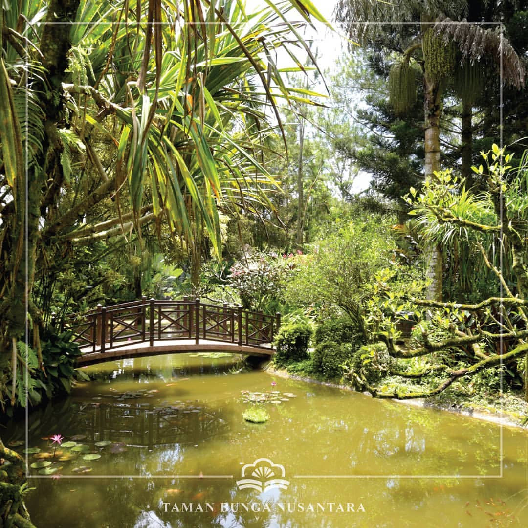 wisata taman bunga nusantara: surganya bunga di cianjur