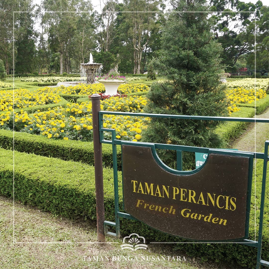 wisata taman bunga nusantara: surganya bunga di cianjur